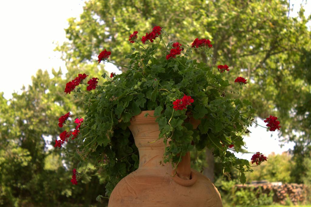 Country Hotel Mandra Edera Abbasanta Dış mekan fotoğraf