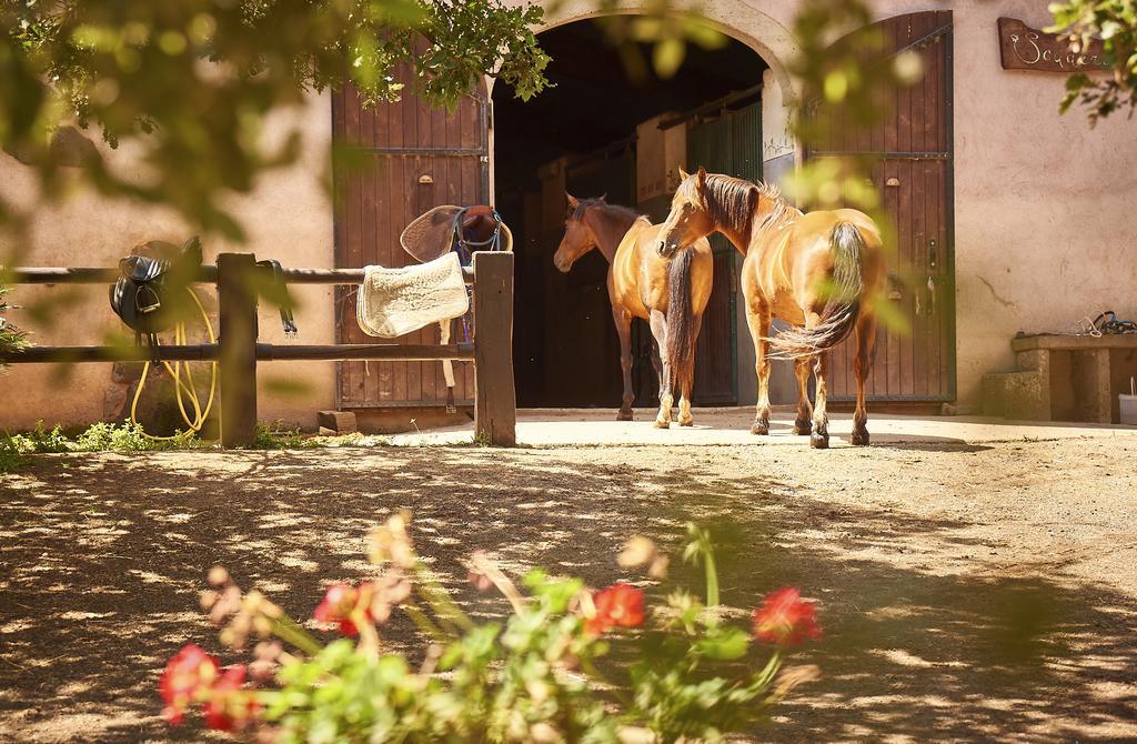 Country Hotel Mandra Edera Abbasanta Dış mekan fotoğraf