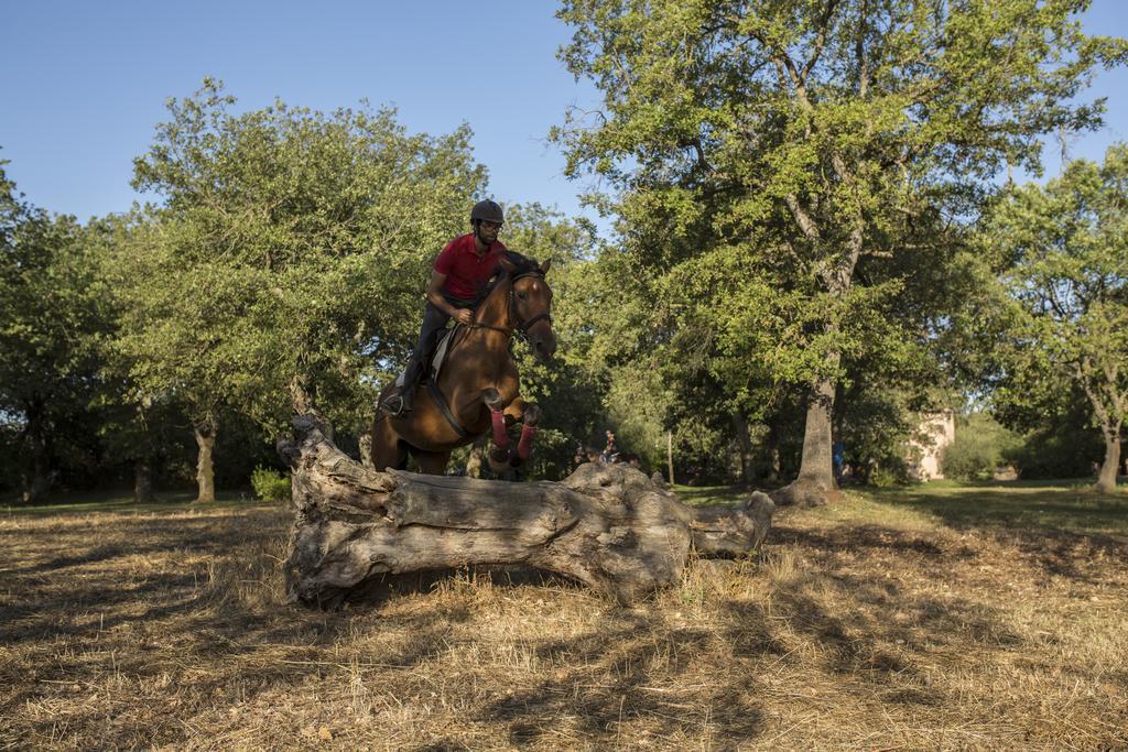 Country Hotel Mandra Edera Abbasanta Dış mekan fotoğraf
