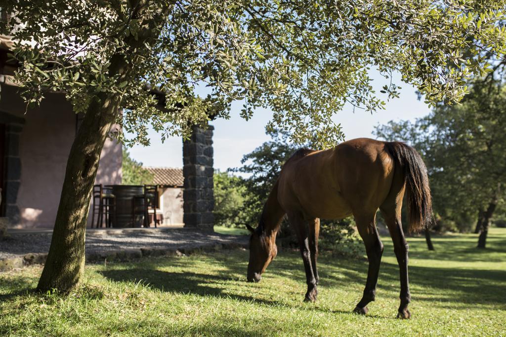 Country Hotel Mandra Edera Abbasanta Dış mekan fotoğraf