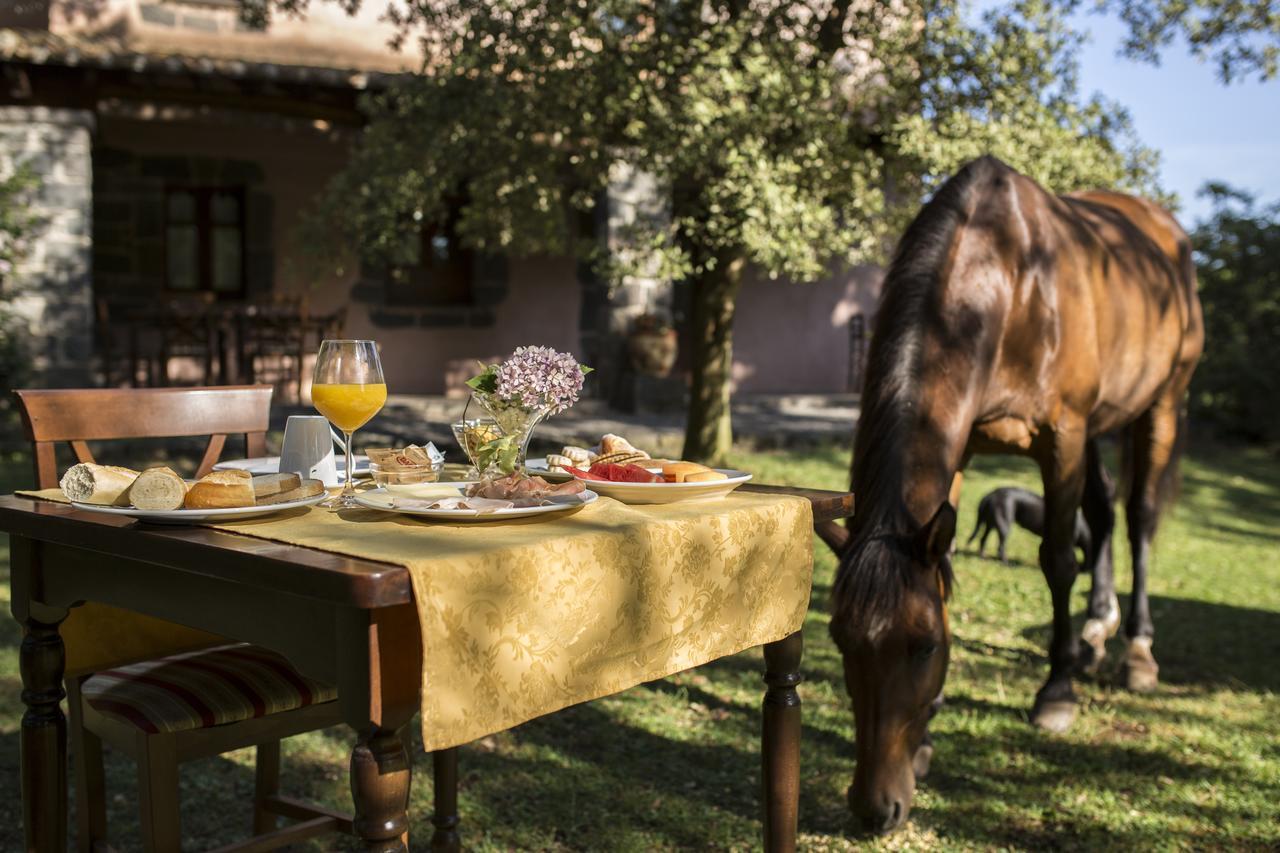 Country Hotel Mandra Edera Abbasanta Dış mekan fotoğraf