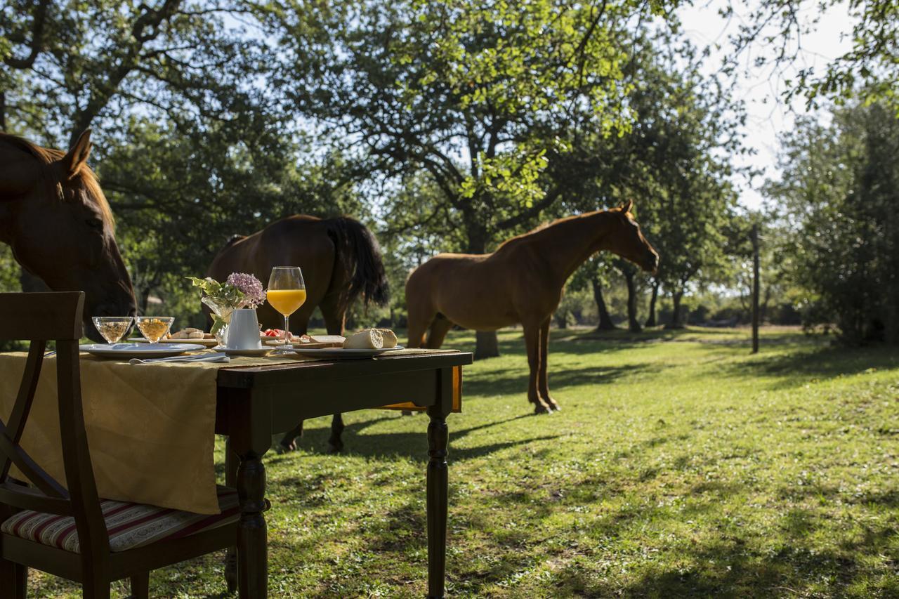 Country Hotel Mandra Edera Abbasanta Dış mekan fotoğraf