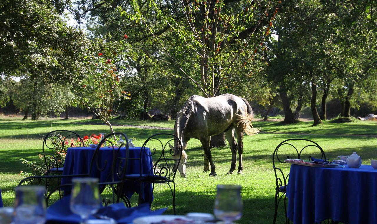 Country Hotel Mandra Edera Abbasanta Dış mekan fotoğraf